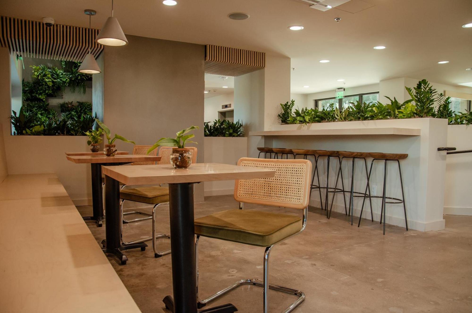 Brut Hotel Tulsa Ngoại thất bức ảnh